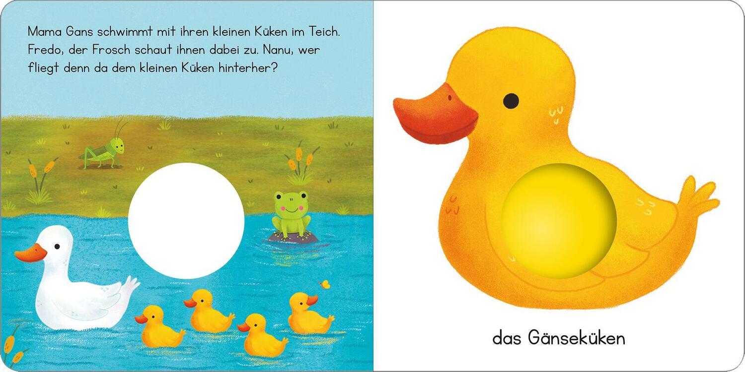 Bild: 9783845851334 | Mein erstes Pop-it-Buch - Lustige Schnecke | Plopp! | Buch | 10 S.