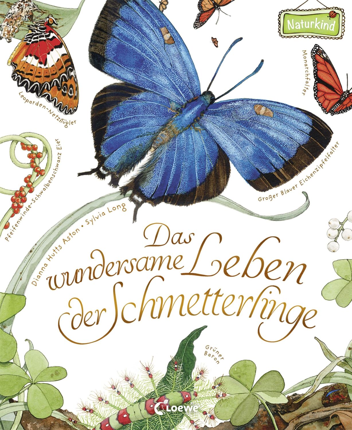 Cover: 9783785587508 | Das wundersame Leben der Schmetterlinge | Dianna Aston | Buch | 40 S.