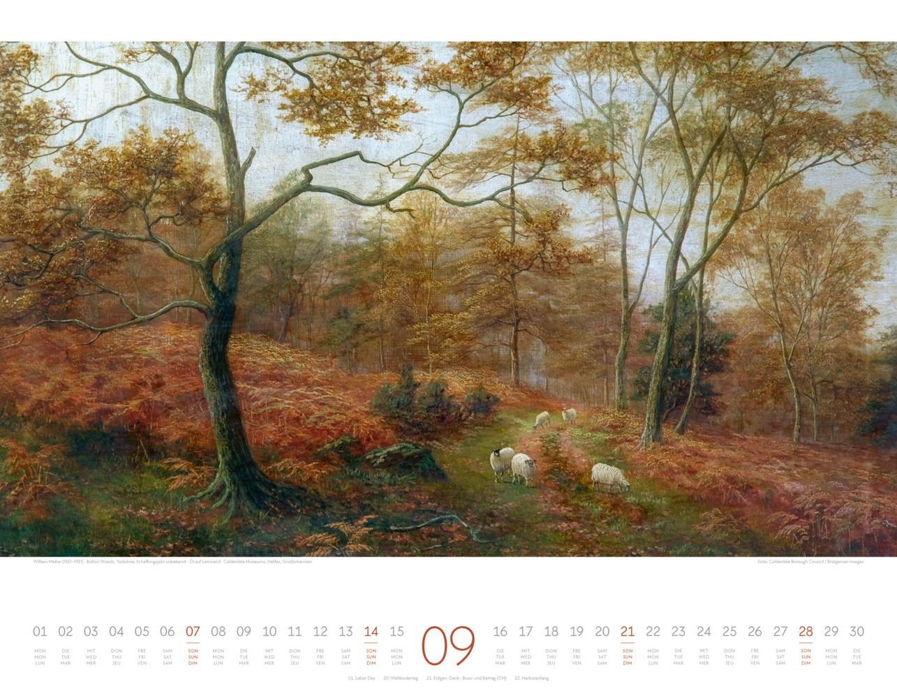 Bild: 9783838425559 | Kunstwerk Wald Kalender 2025 | Ackermann Kunstverlag | Kalender | 2025