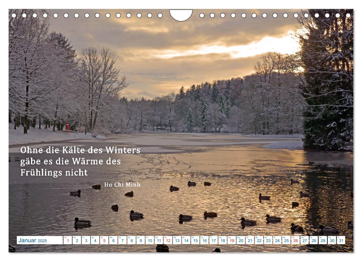 Bild: 9783435122271 | Kraftquelle Natur (Wandkalender 2025 DIN A4 quer), CALVENDO...