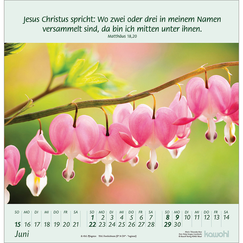 Bild: 9783754826058 | Blumengrüße 2025 | Kalender mit Bibelworten und Blumenbildern | 14 S.