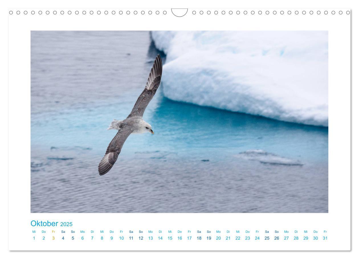 Bild: 9783435340590 | Spitzbergen - Landschaft - Eis - Tierwelt (Wandkalender 2025 DIN A3...