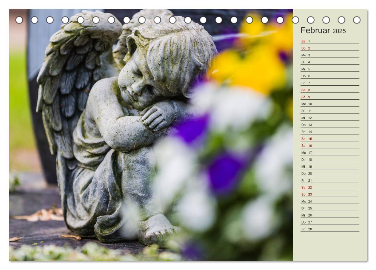 Bild: 9783435370818 | Engel - Begleiter für jeden Tag (Tischkalender 2025 DIN A5 quer),...
