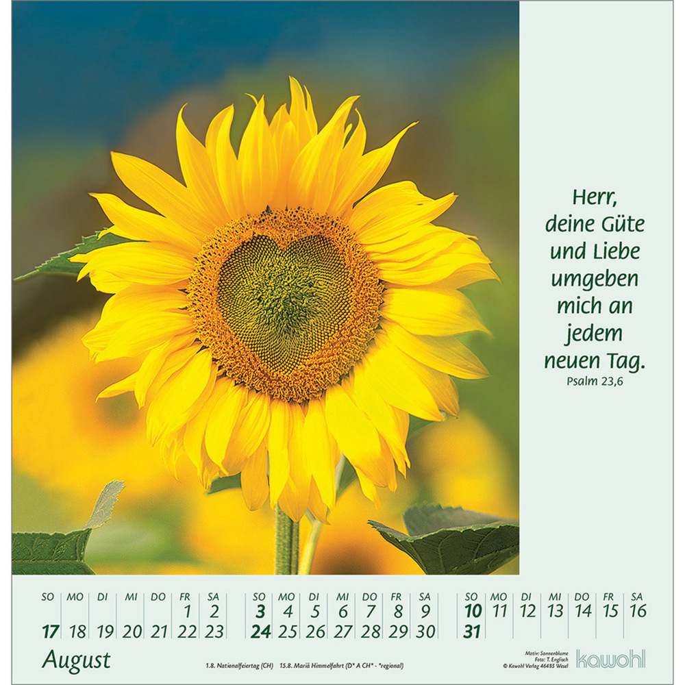 Bild: 9783754826058 | Blumengrüße 2025 | Kalender mit Bibelworten und Blumenbildern | 14 S.