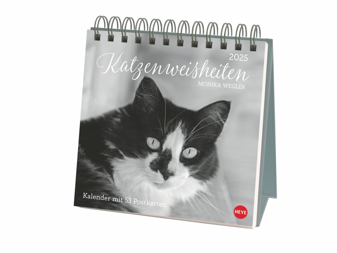 Cover: 9783756408160 | Monika Wegler: Katzen Weisheiten Premium-Postkartenkalender 2025