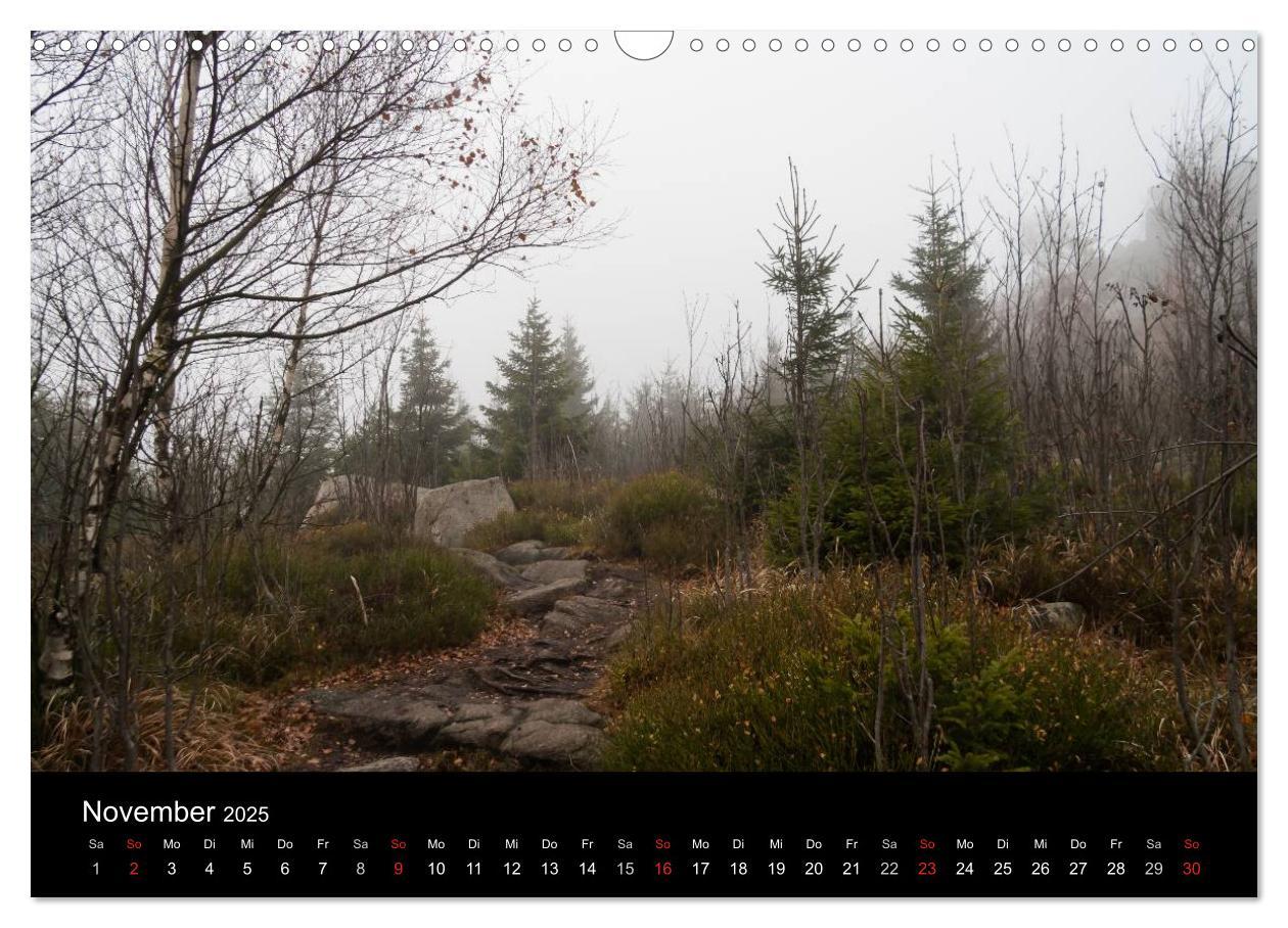 Bild: 9783435837212 | Harz-Bilder (Wandkalender 2025 DIN A3 quer), CALVENDO Monatskalender