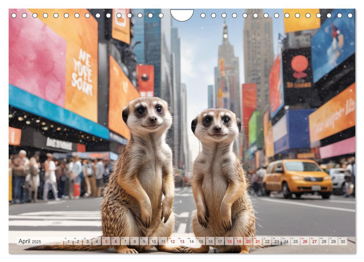 Bild: 9783383797880 | Erdmännchen in New York City (Wandkalender 2025 DIN A4 quer),...