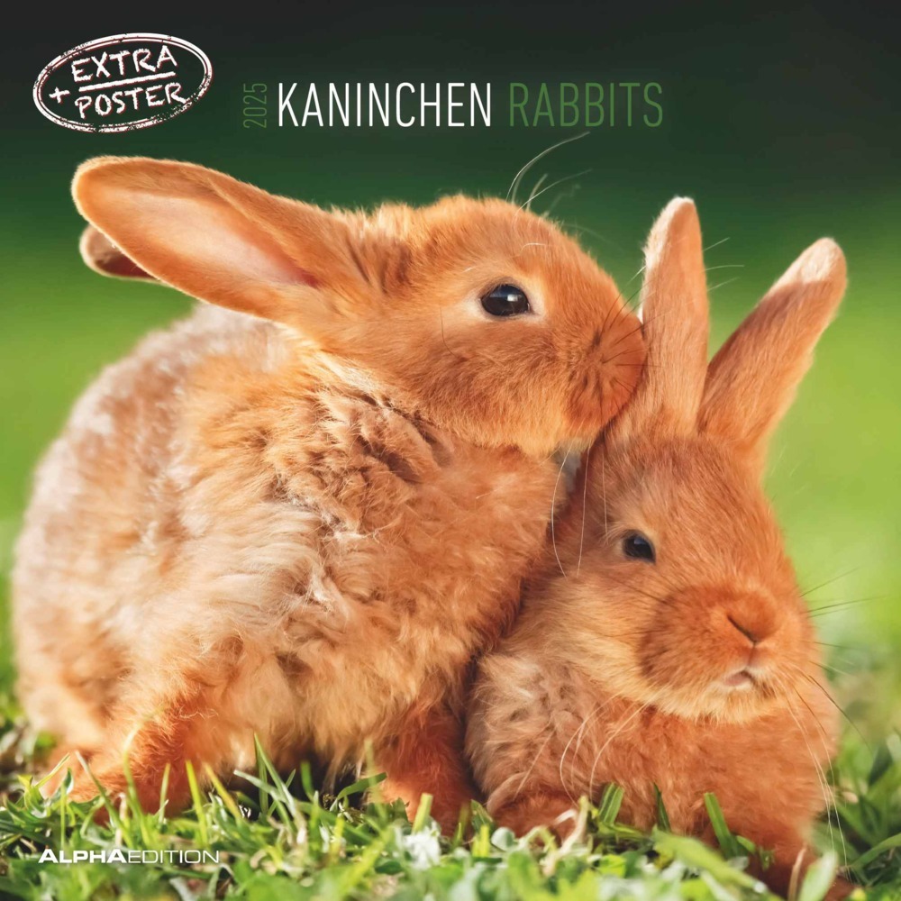 Cover: 4251732340766 | Alpha Edition - Kaninchen 2025 Broschürenkalender, 30x30cm,...