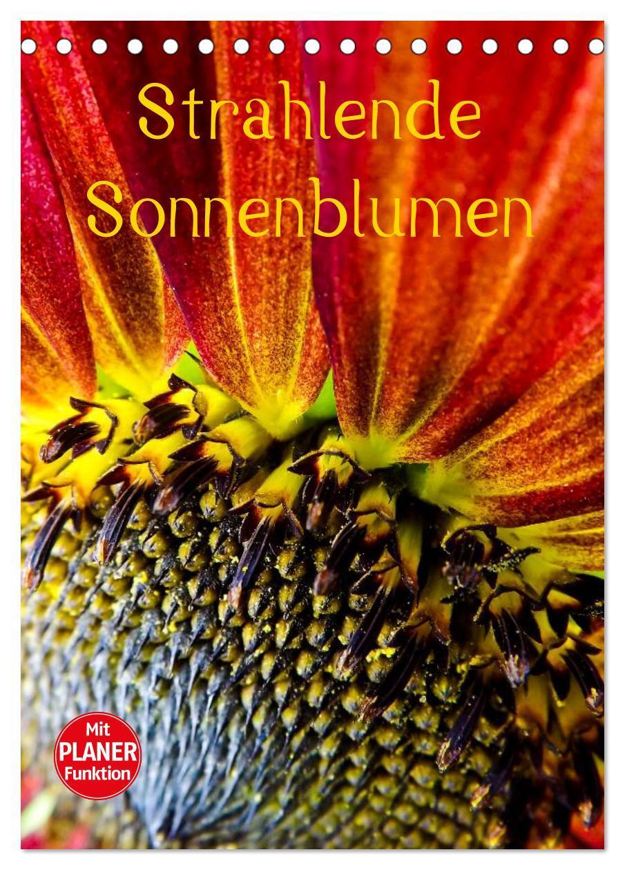 Cover: 9783435996476 | Strahlende Sonnenblumen (Tischkalender 2025 DIN A5 hoch), CALVENDO...