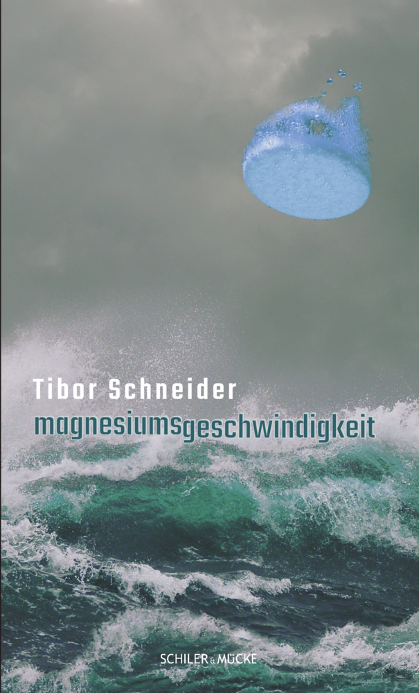 Cover: 9783899304367 | magnesiumsgeschwindigkeit | zu utropischen wirklichkeiten | Schneider