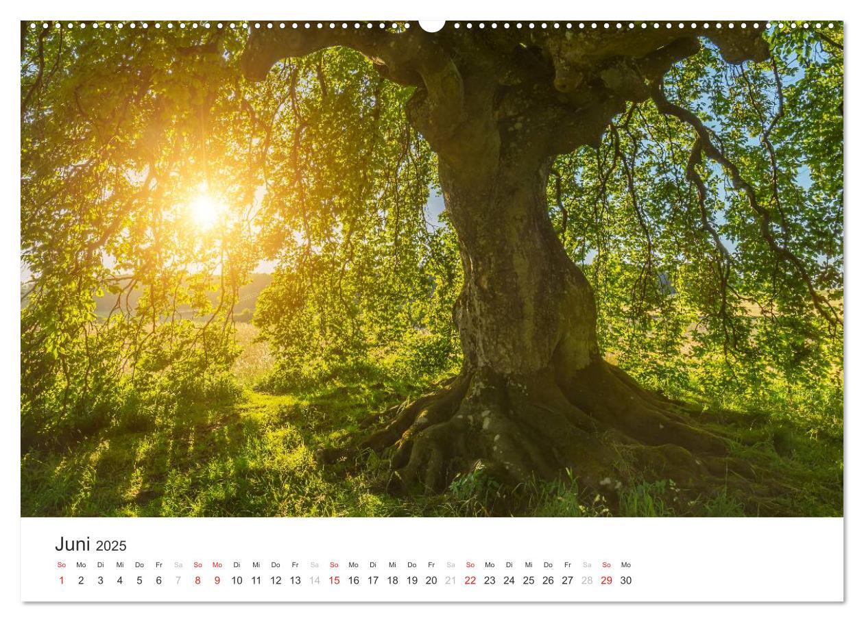 Bild: 9783435557394 | Blicke in die Eifel (Wandkalender 2025 DIN A2 quer), CALVENDO...