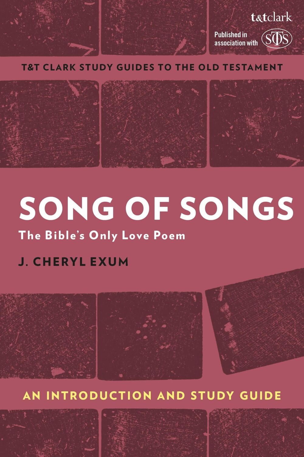 Cover: 9780567674715 | Song of Songs: An Introduction and Study Guide | J. Cheryl Exum | Buch