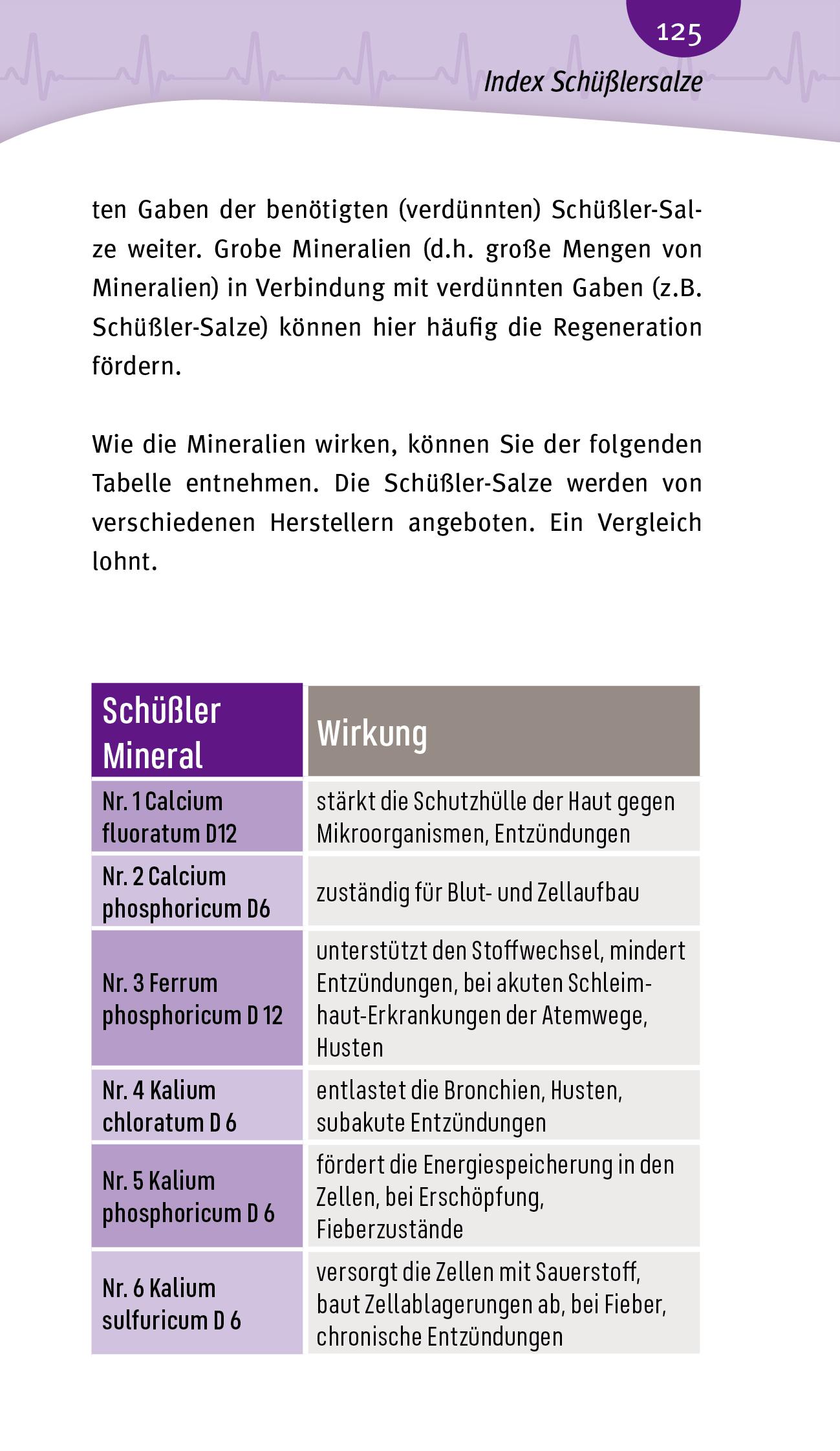 Bild: 9783945181317 | Blutdruck | Herz, Kreislauf und Gefäße | Andreas Nieswandt | Buch