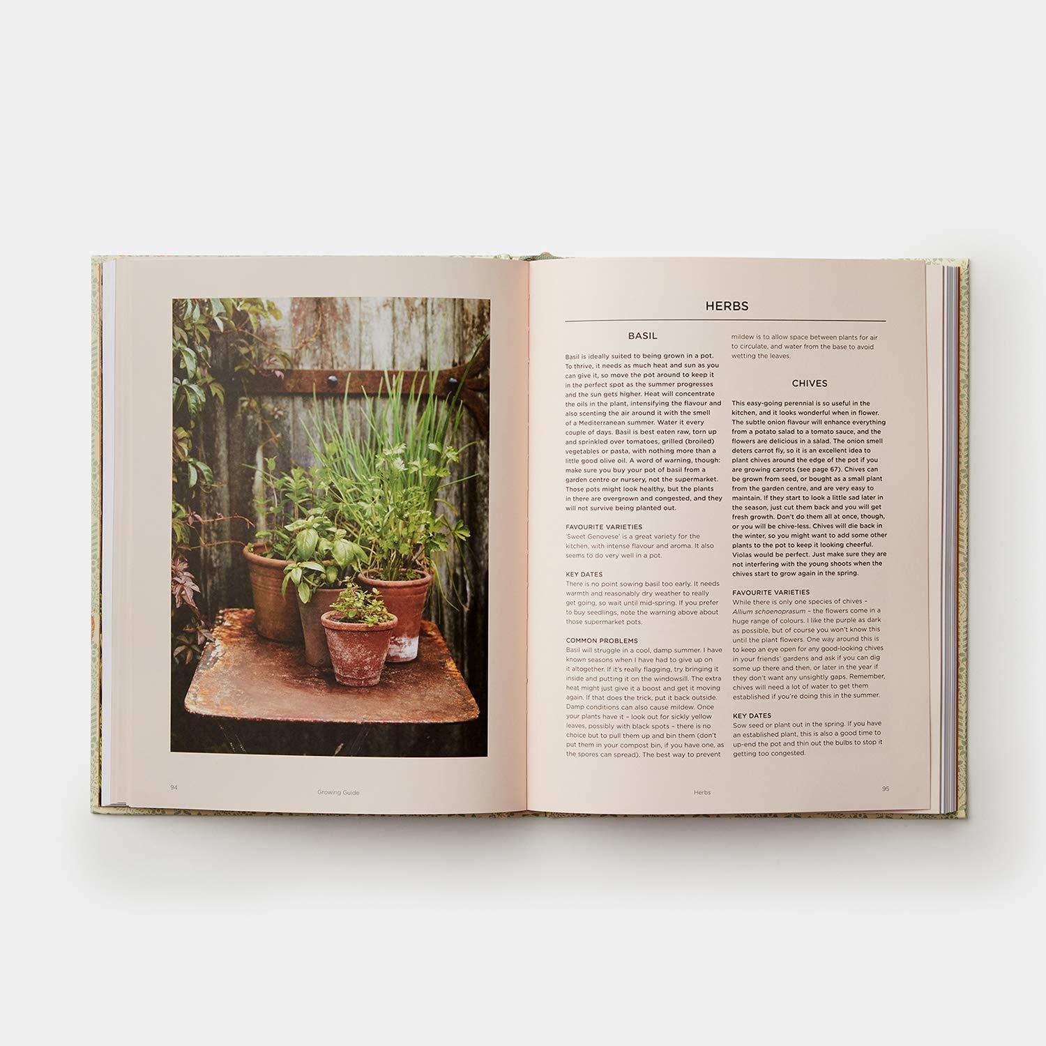 Bild: 9780714878614 | Grow Fruit &amp; Vegetables in Pots | Aaron Bertelsen | Buch | 240 S.