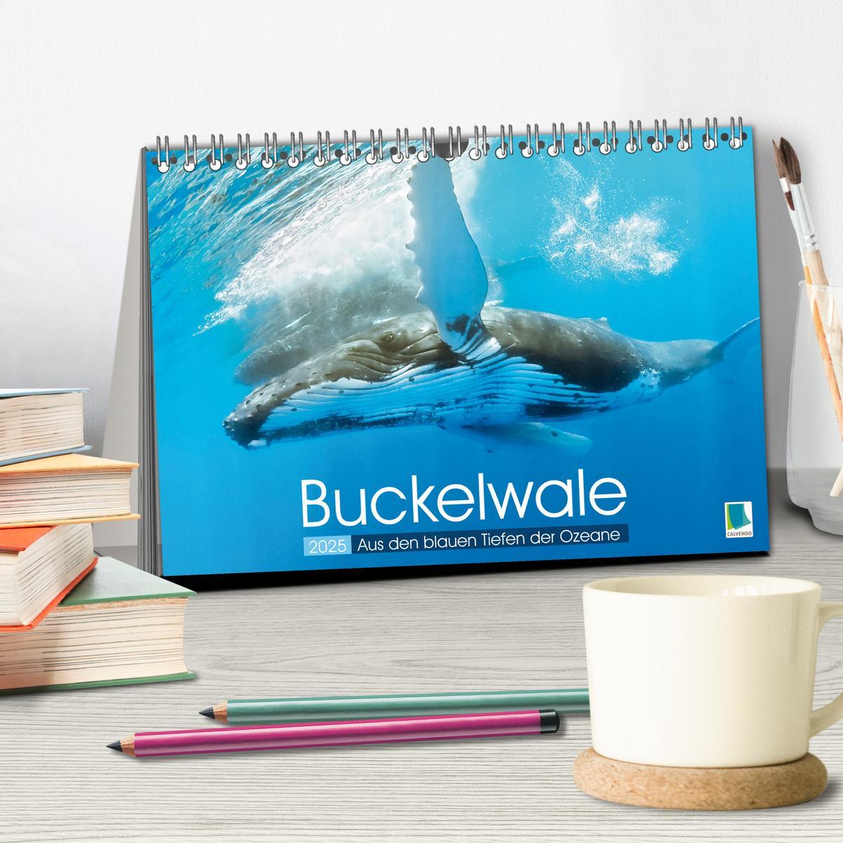 Bild: 9783383776854 | Buckelwale: Aus den blauen Tiefen der Ozeane (Tischkalender 2025...