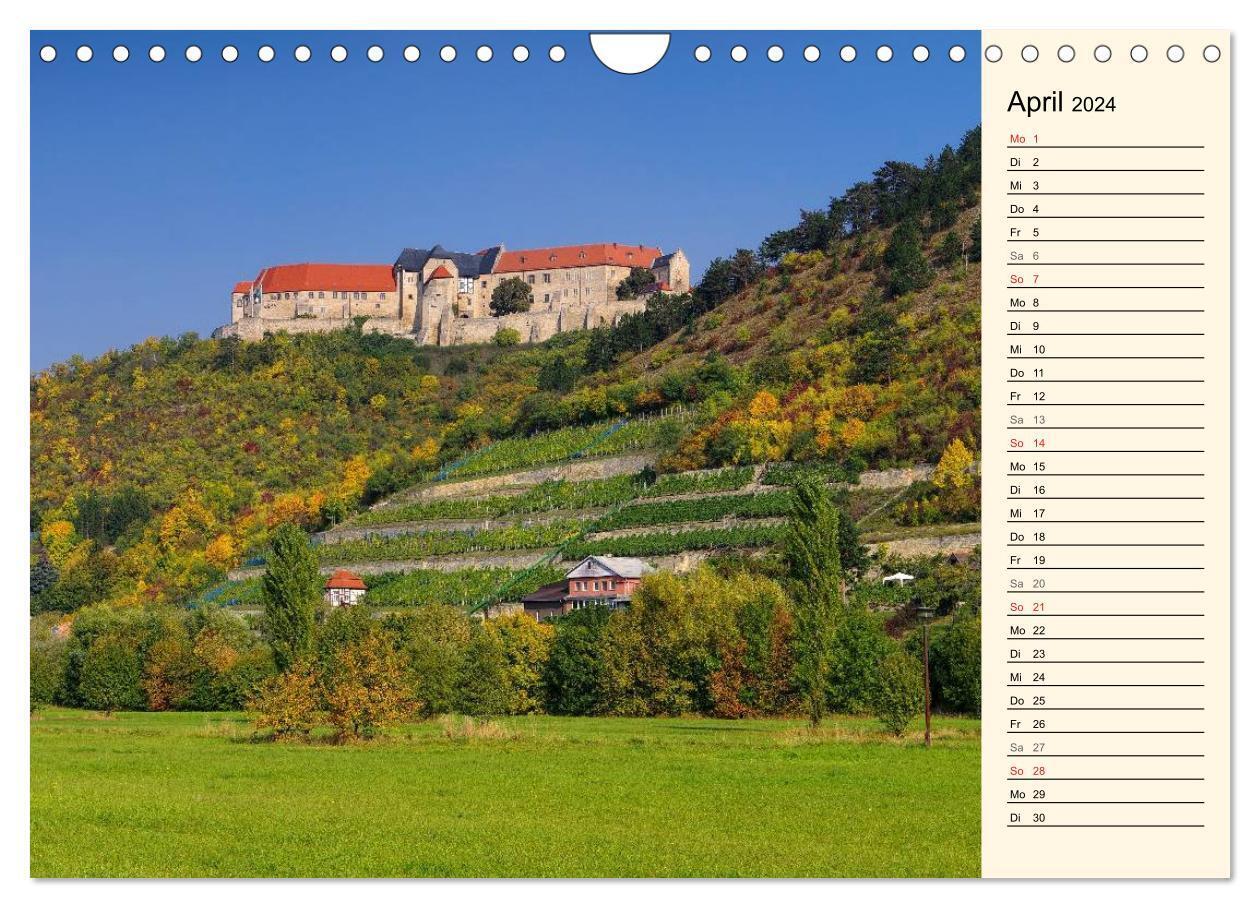 Bild: 9783383289590 | Saale-Unstrut - Region aus Wein und Stein (Wandkalender 2024 DIN A4...