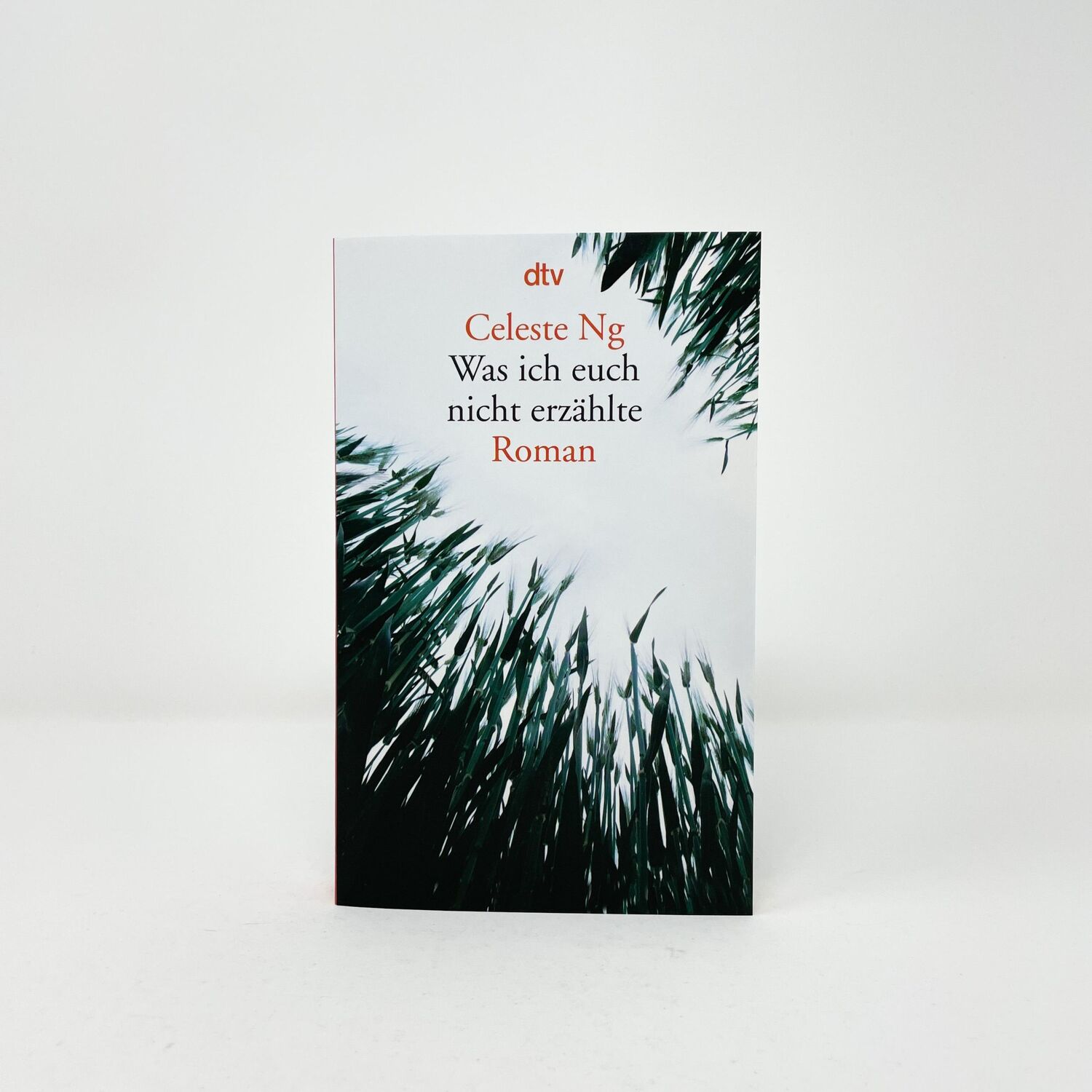 Bild: 9783423145992 | Was ich euch nicht erzählte | Celeste Ng | Taschenbuch | 288 S. | 2017