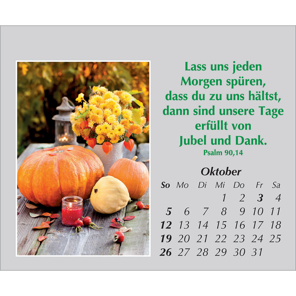 Bild: 9783754861059 | Freude für jeden Tag 2025 | Kalender | Spiralbindung. Spiralbindung