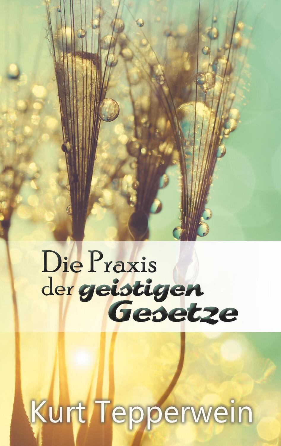 Cover: 9783741293665 | Die Praxis der geistigen Gesetze | Kurt Tepperwein | Taschenbuch