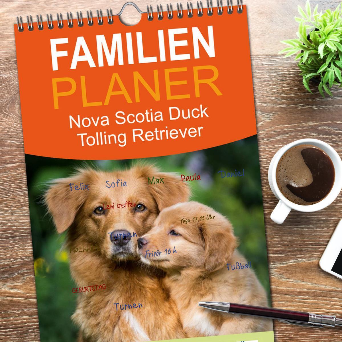 Bild: 9783457112090 | Familienplaner 2025 - Toller - Nova Scotia Duck Tolling Retriever...