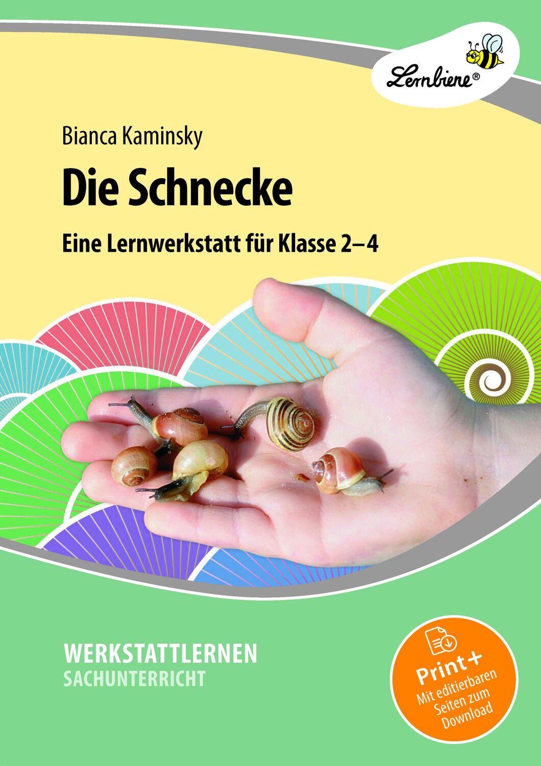 Cover: 9783869986654 | Die Schnecke | (2. bis 4. Klasse) | Bianca Kaminsky | Bundle | 1 Stück