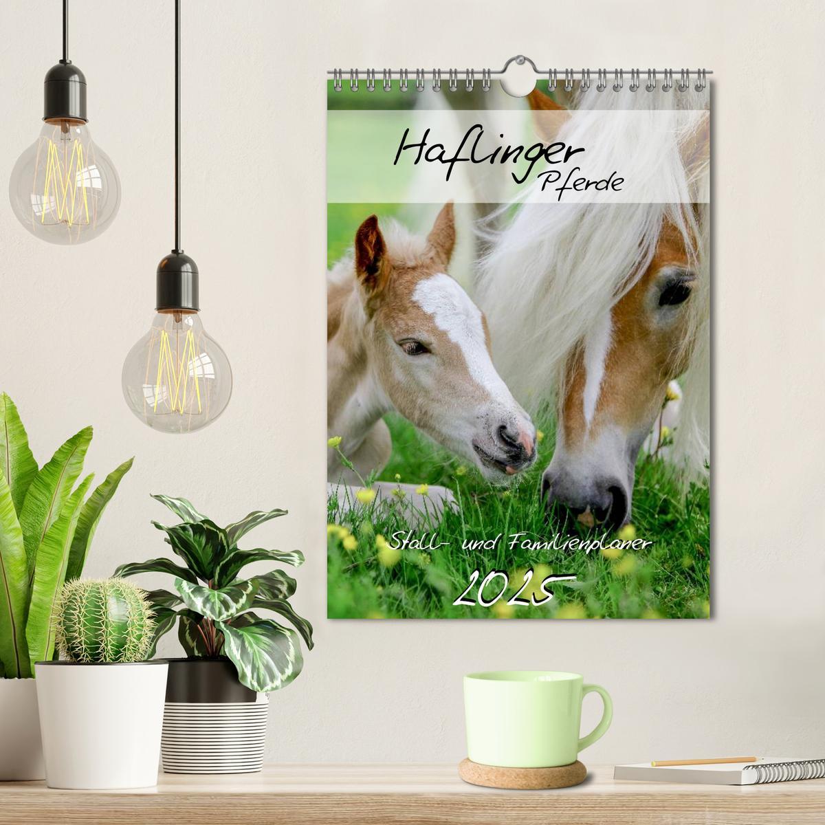 Bild: 9783457014851 | Haflinger Pferde - Stall- und Familienplaner 2025 (Wandkalender...