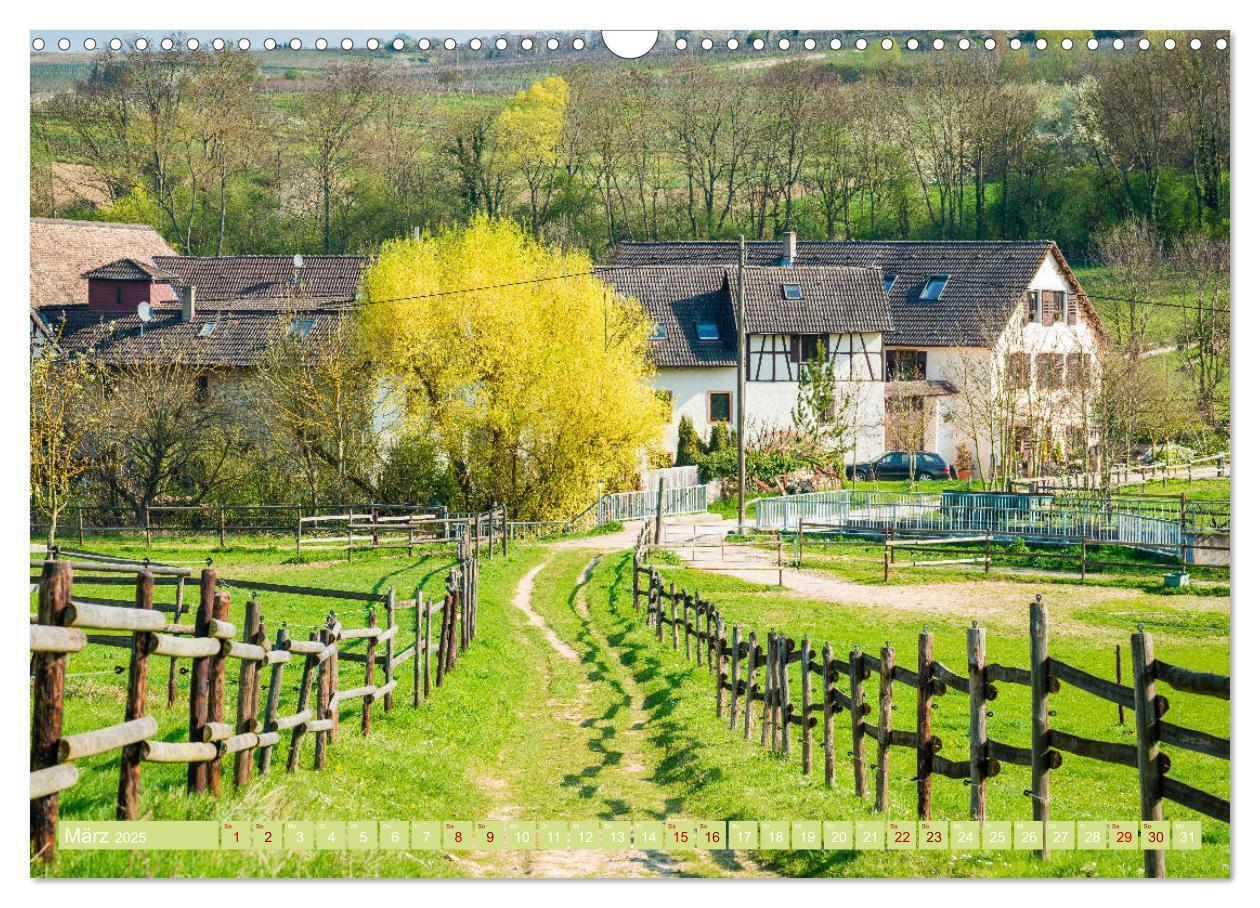 Bild: 9783435388905 | Rheinhessen-Impressionen (Wandkalender 2025 DIN A3 quer), CALVENDO...