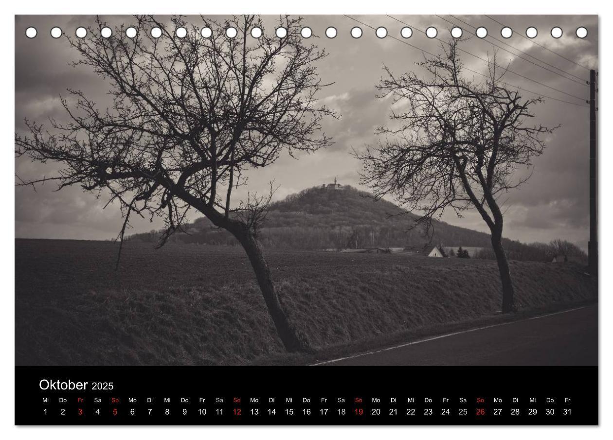 Bild: 9783435776924 | Bäume trees 2025 (Tischkalender 2025 DIN A5 quer), CALVENDO...