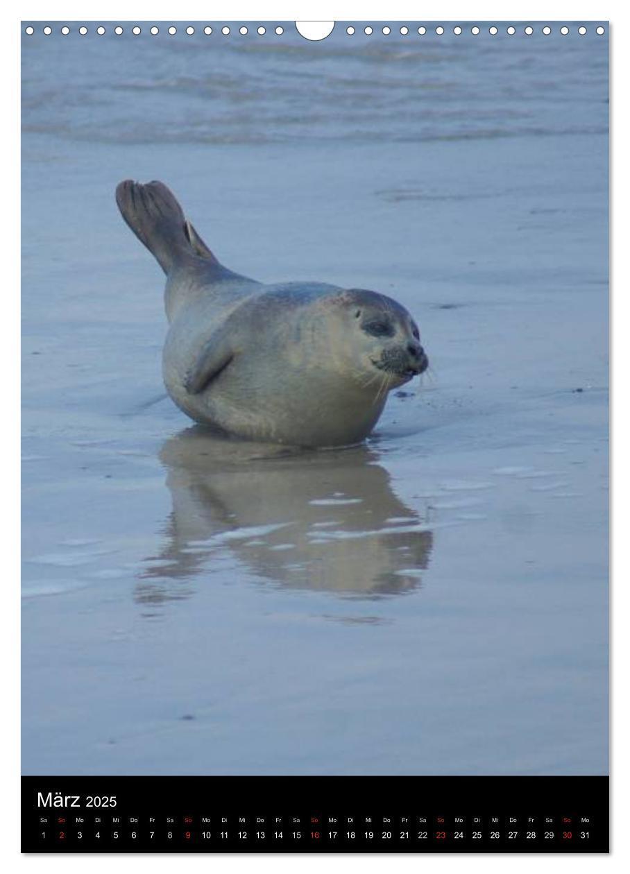 Bild: 9783457082706 | Helgoland in der Nordsee (Wandkalender 2025 DIN A3 hoch), CALVENDO...