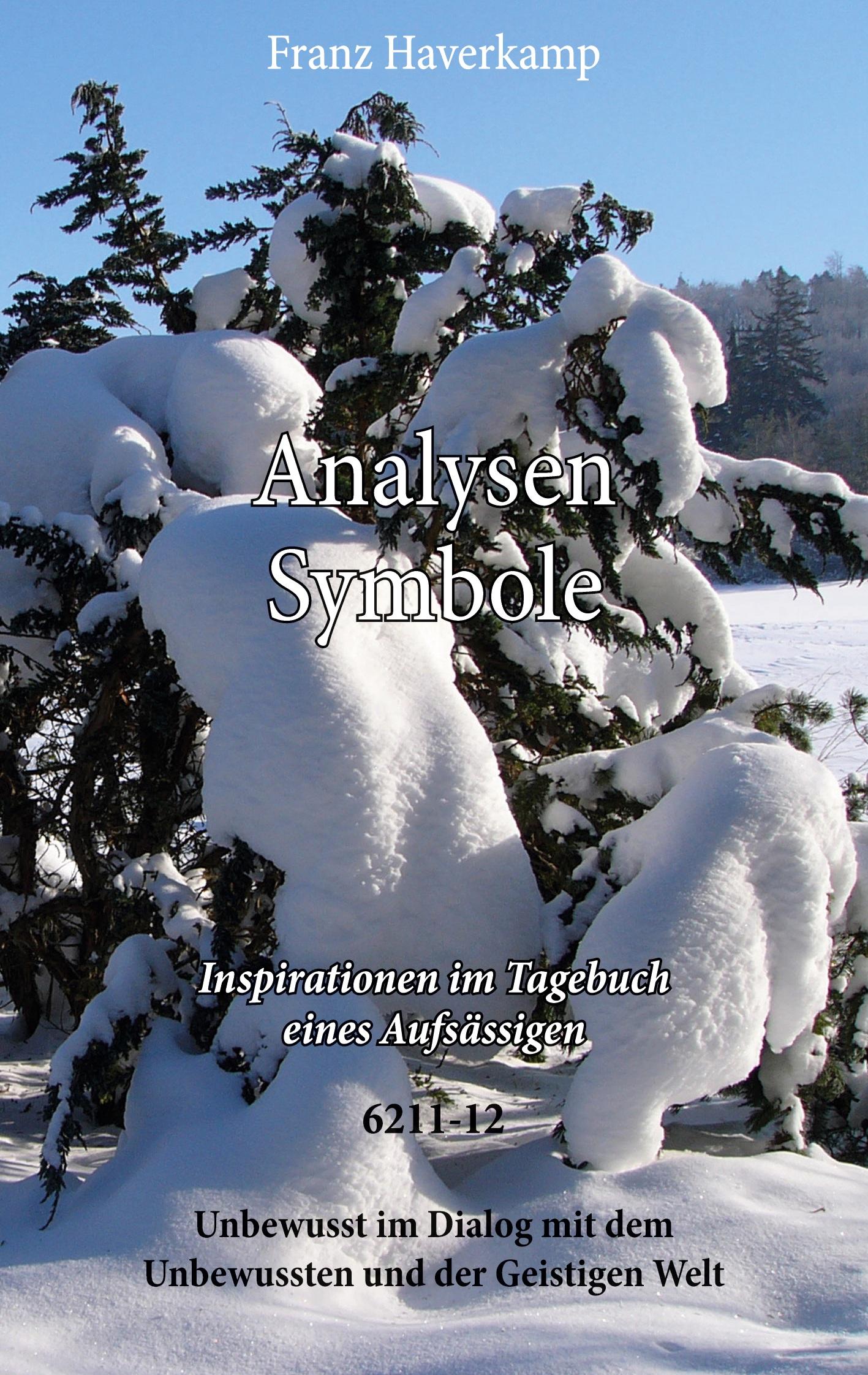 Cover: 9783759728470 | Analysen-Symbole 6211-12 | Inspirationen im Tagebuch eines Aufsässigen