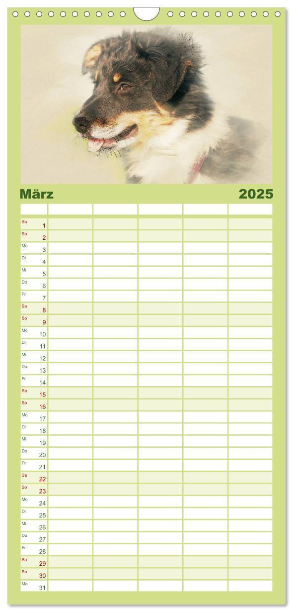 Bild: 9783457121177 | Familienplaner 2025 - Hundewelpen 2025 mit 5 Spalten (Wandkalender,...