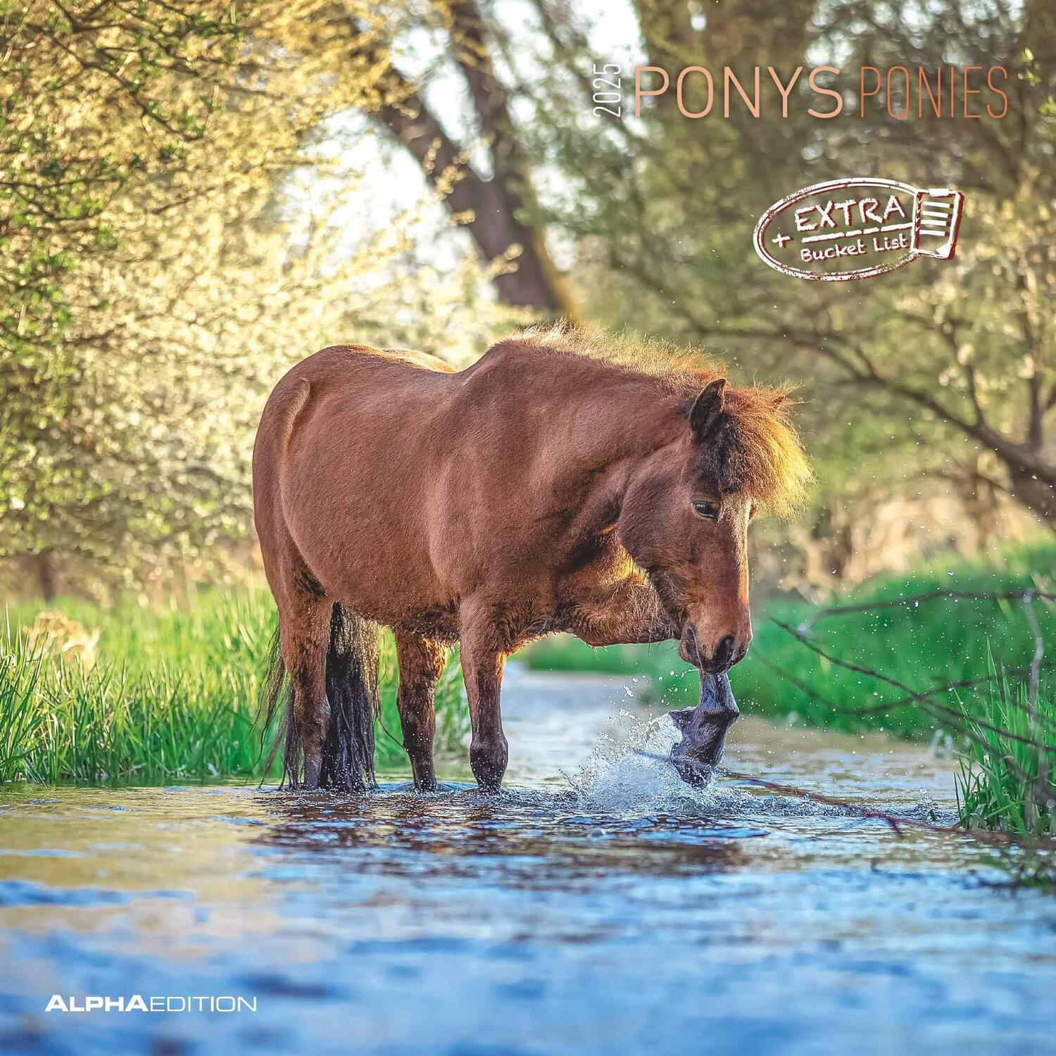 Cover: 4251732343040 | Ponys 2025 - Broschürenkalender 30x30 cm (30x60 geöffnet) -...