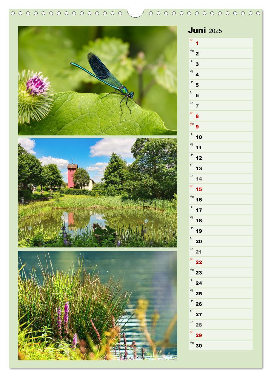 Bild: 9783457177365 | Hessisch Lichtenau (Wandkalender 2025 DIN A3 hoch), CALVENDO...