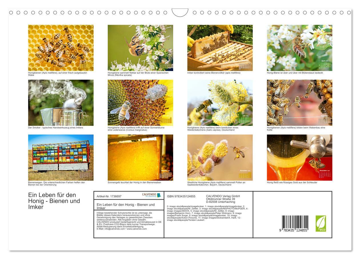 Bild: 9783435124855 | Ein Leben für den Honig - Bienen und Imker (Wandkalender 2025 DIN...