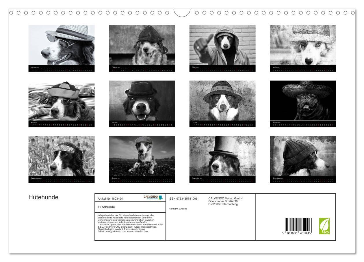 Bild: 9783435781096 | Hütehunde (Wandkalender 2025 DIN A3 quer), CALVENDO Monatskalender