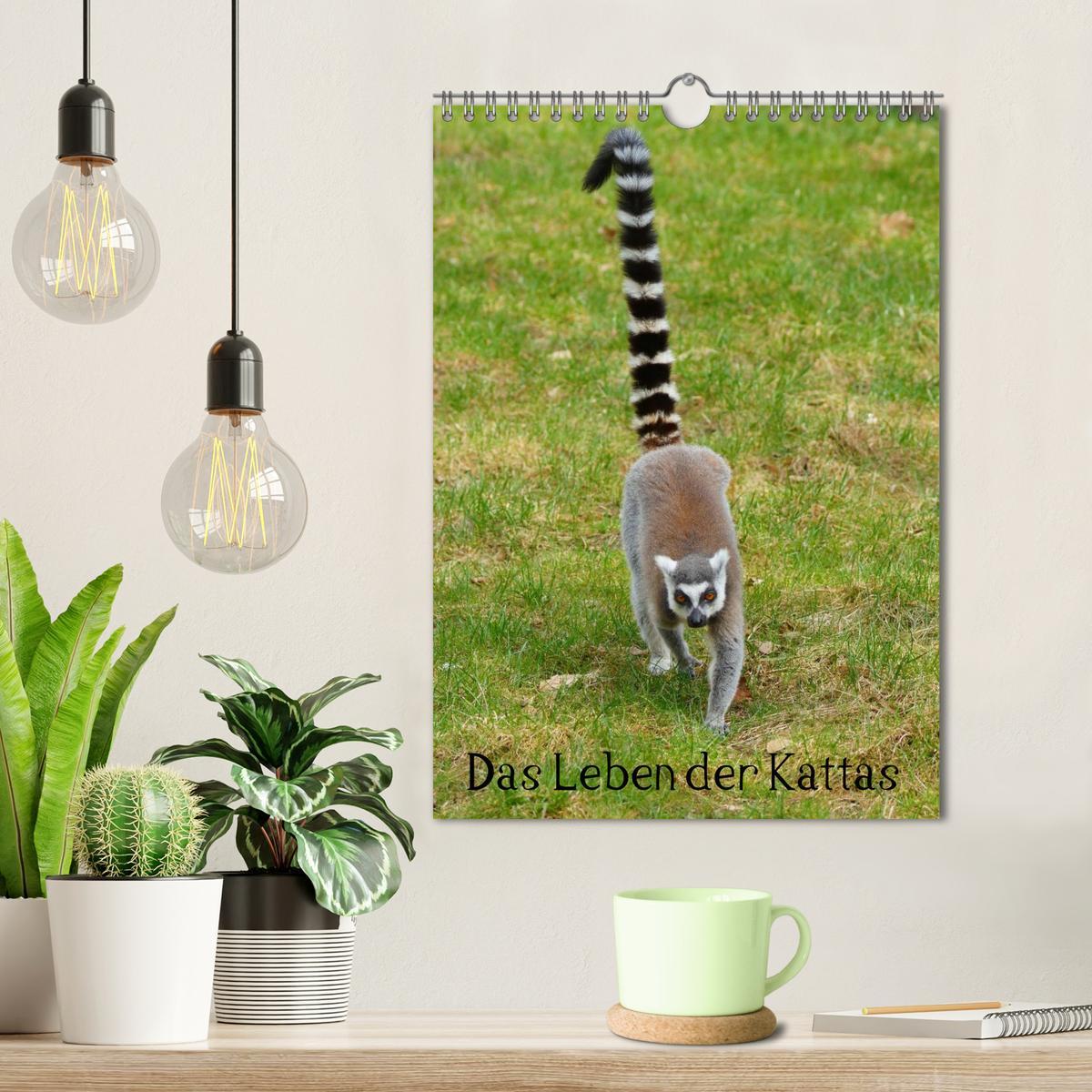 Bild: 9783457077801 | Das Leben der Kattas (Wandkalender 2025 DIN A4 hoch), CALVENDO...