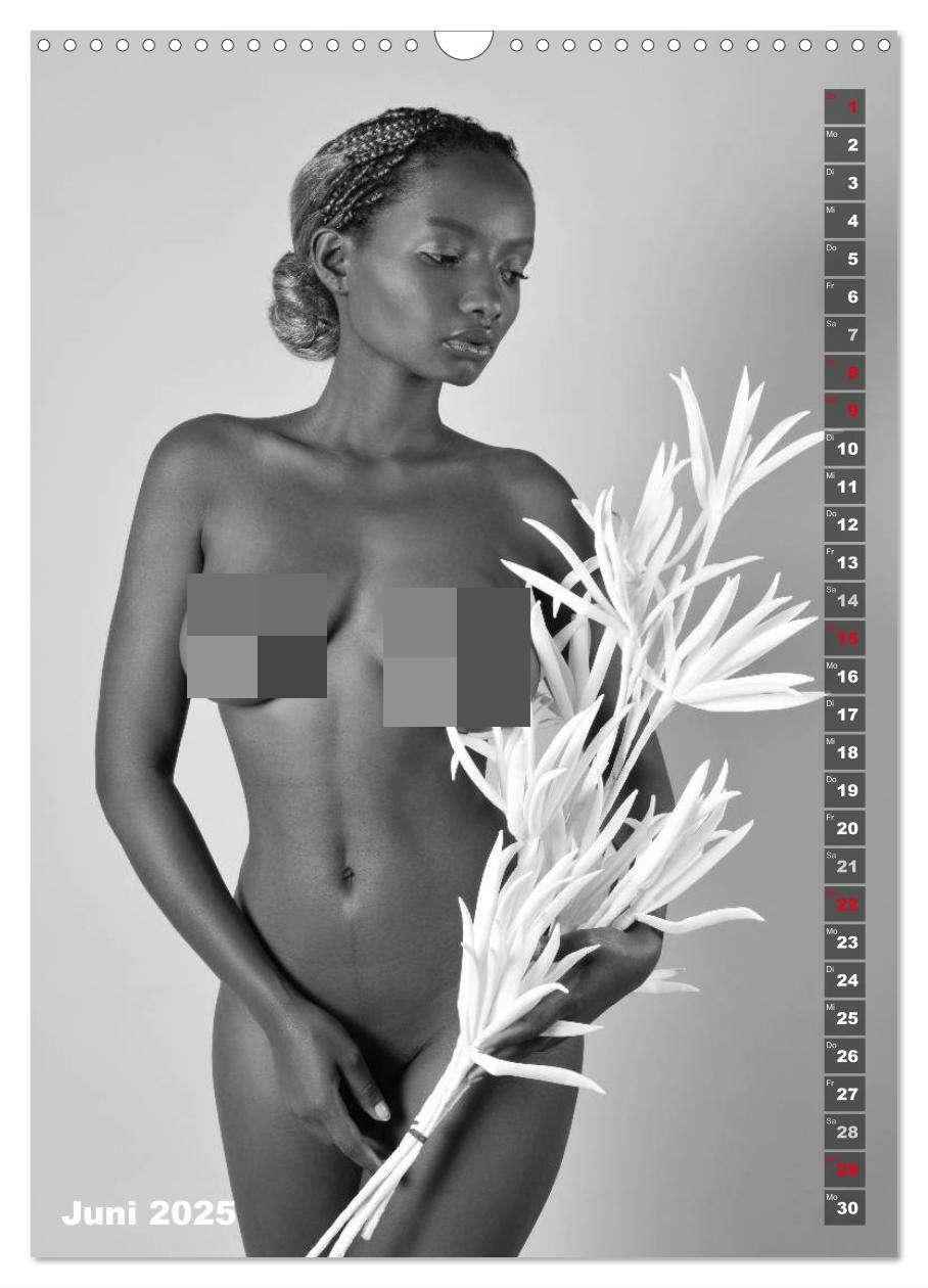 Bild: 9783435958825 | EROTIK FOTOART SEXY GIRLS (Wandkalender 2025 DIN A3 hoch), CALVENDO...