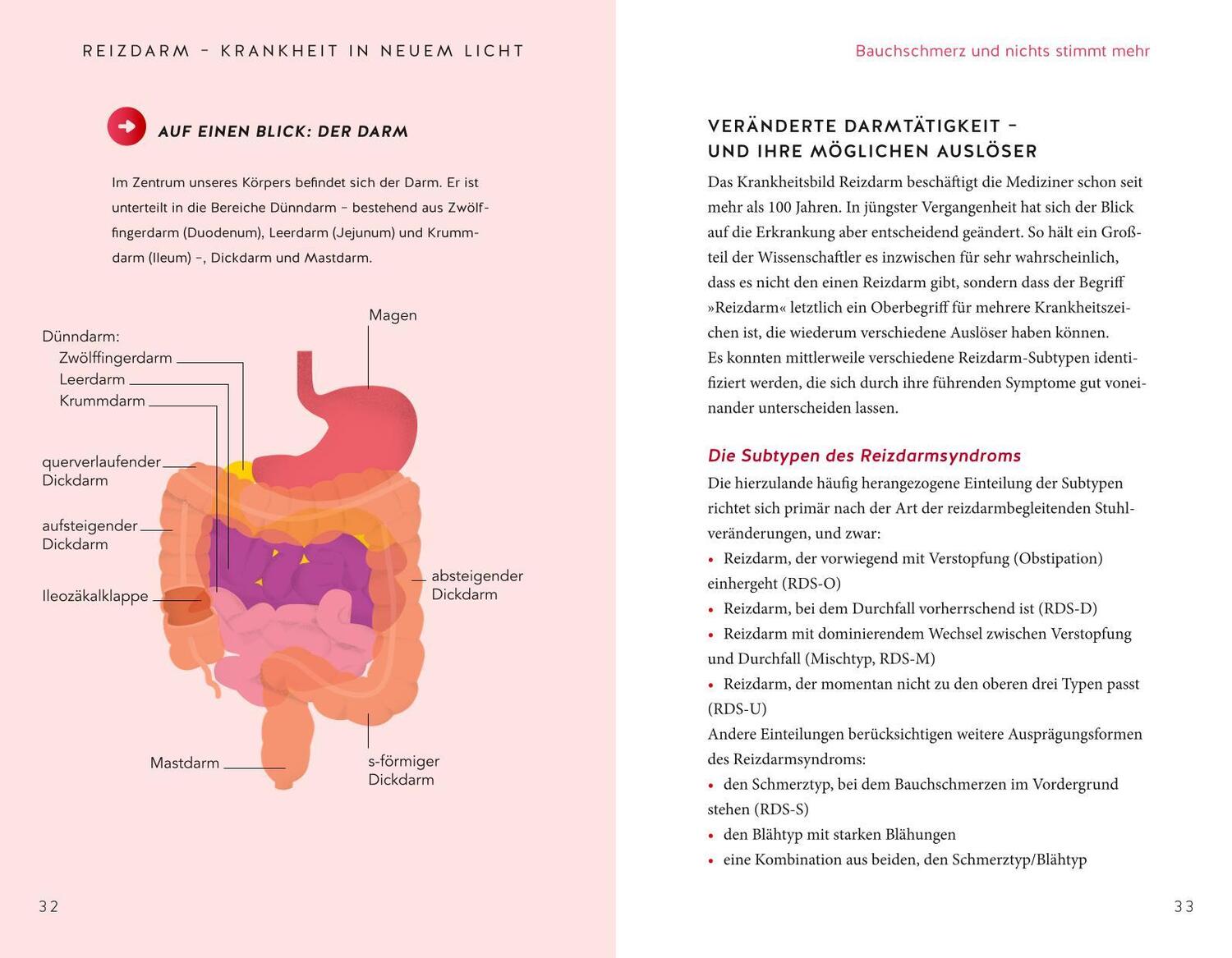 Bild: 9783833886072 | Endlich Heilung für den Reizdarm | Nicole Schaenzler | Taschenbuch