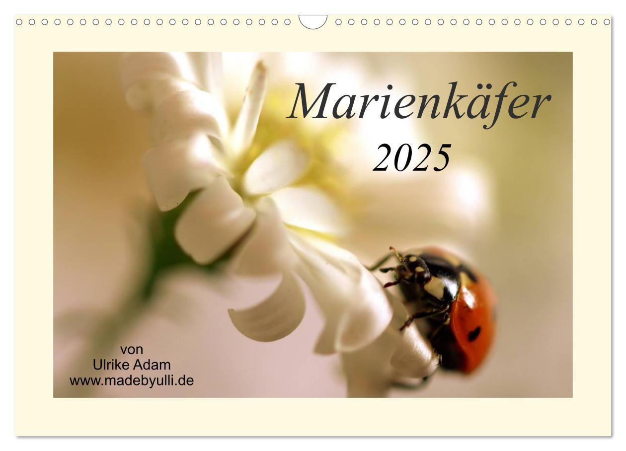 Cover: 9783435732890 | Marienkäfer / 2025 (Wandkalender 2025 DIN A3 quer), CALVENDO...