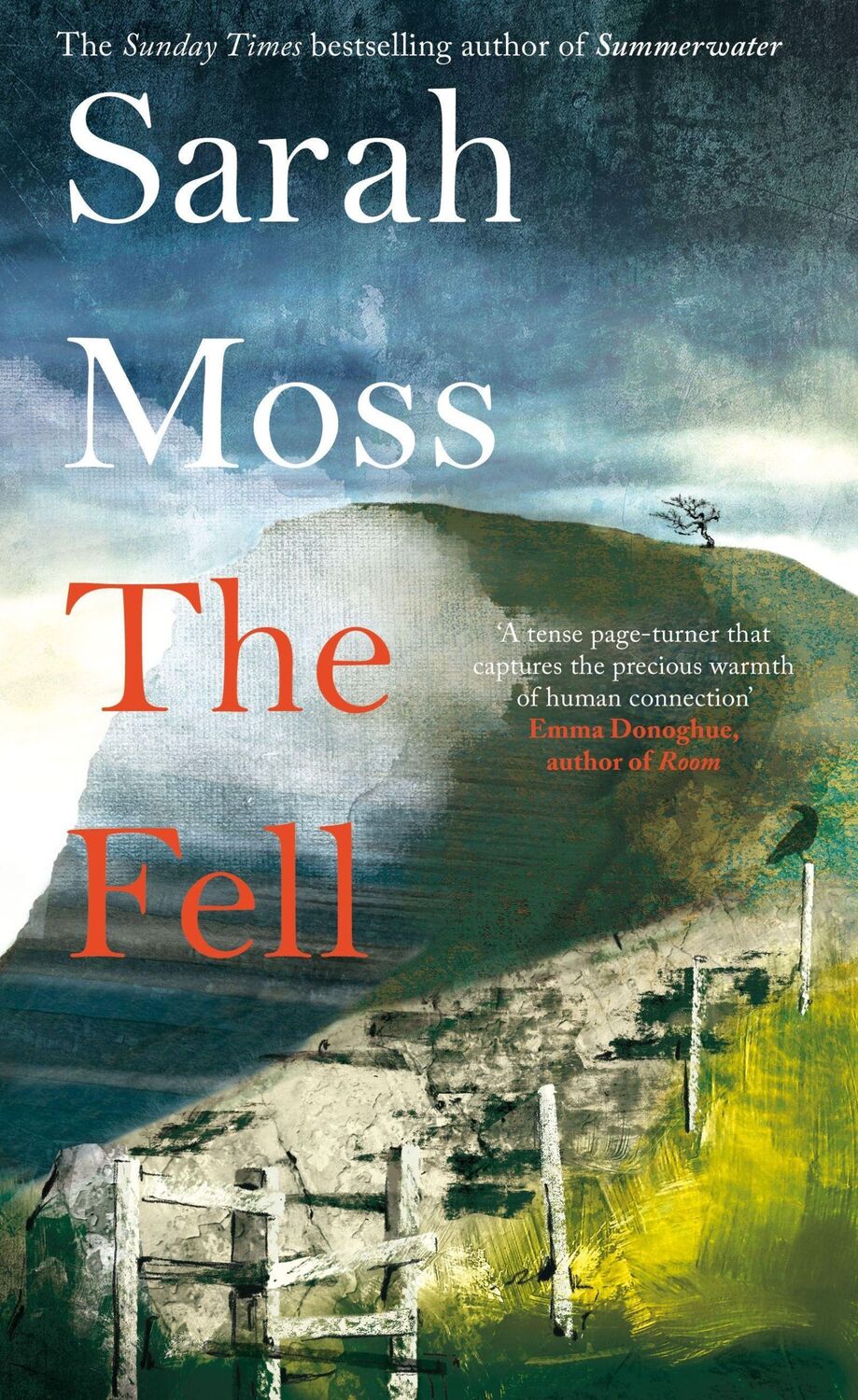 Cover: 9781529083224 | Moss, S: The Fell | Sarah Moss | Buch | Gebunden | Englisch | 2021