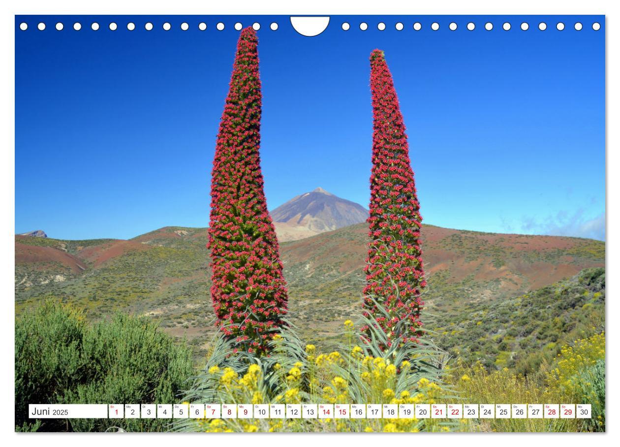 Bild: 9783457222508 | Teneriffa - Insel der Glückseligen (Wandkalender 2025 DIN A4 quer),...