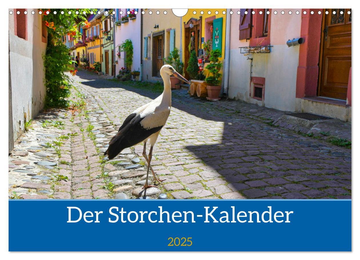 Cover: 9783435019779 | Der Storchenkalender (Wandkalender 2025 DIN A3 quer), CALVENDO...