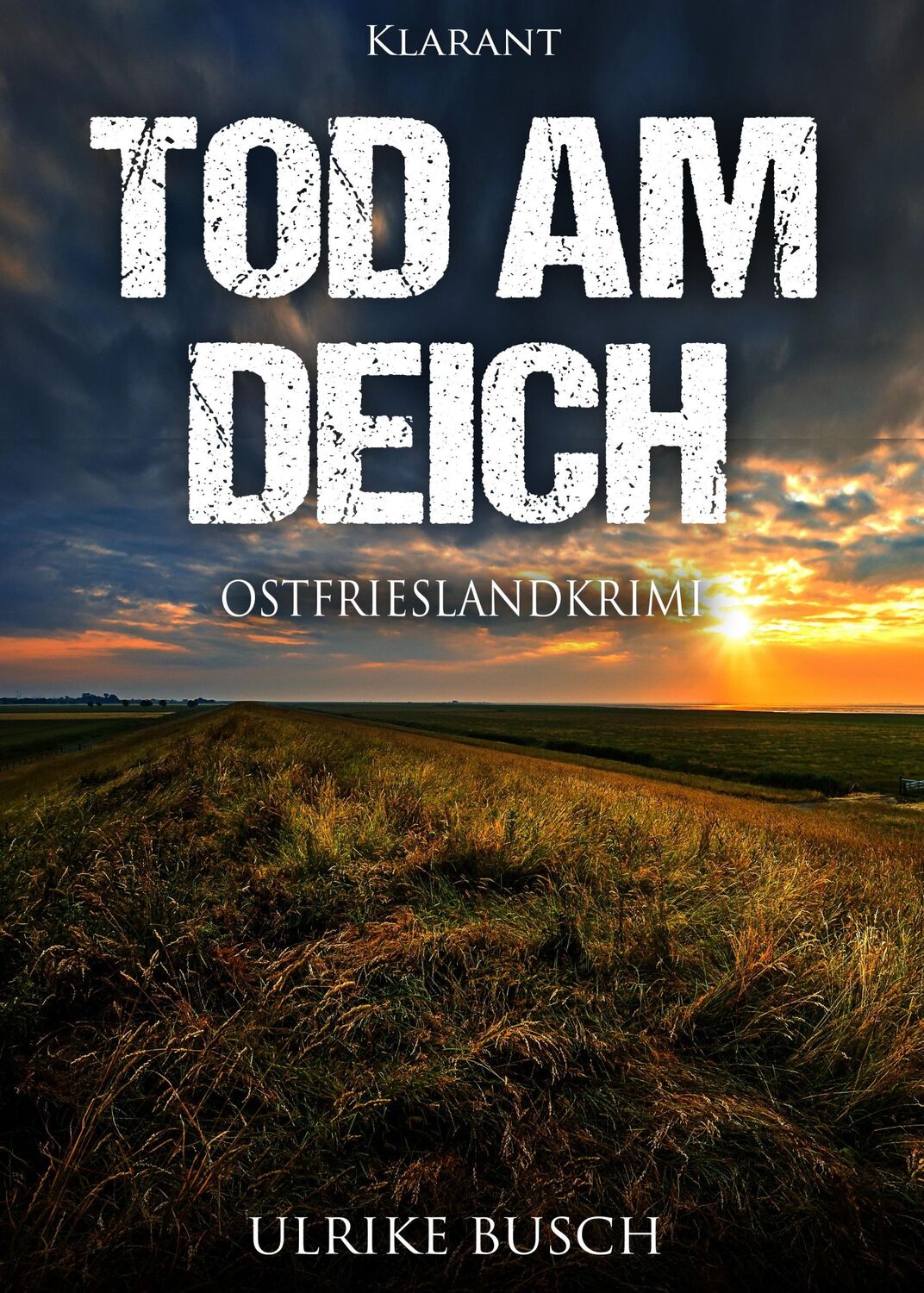 Cover: 9783955735845 | Tod am Deich. Ostfrieslandkrimi | Ulrike Busch | Taschenbuch | 162 S.