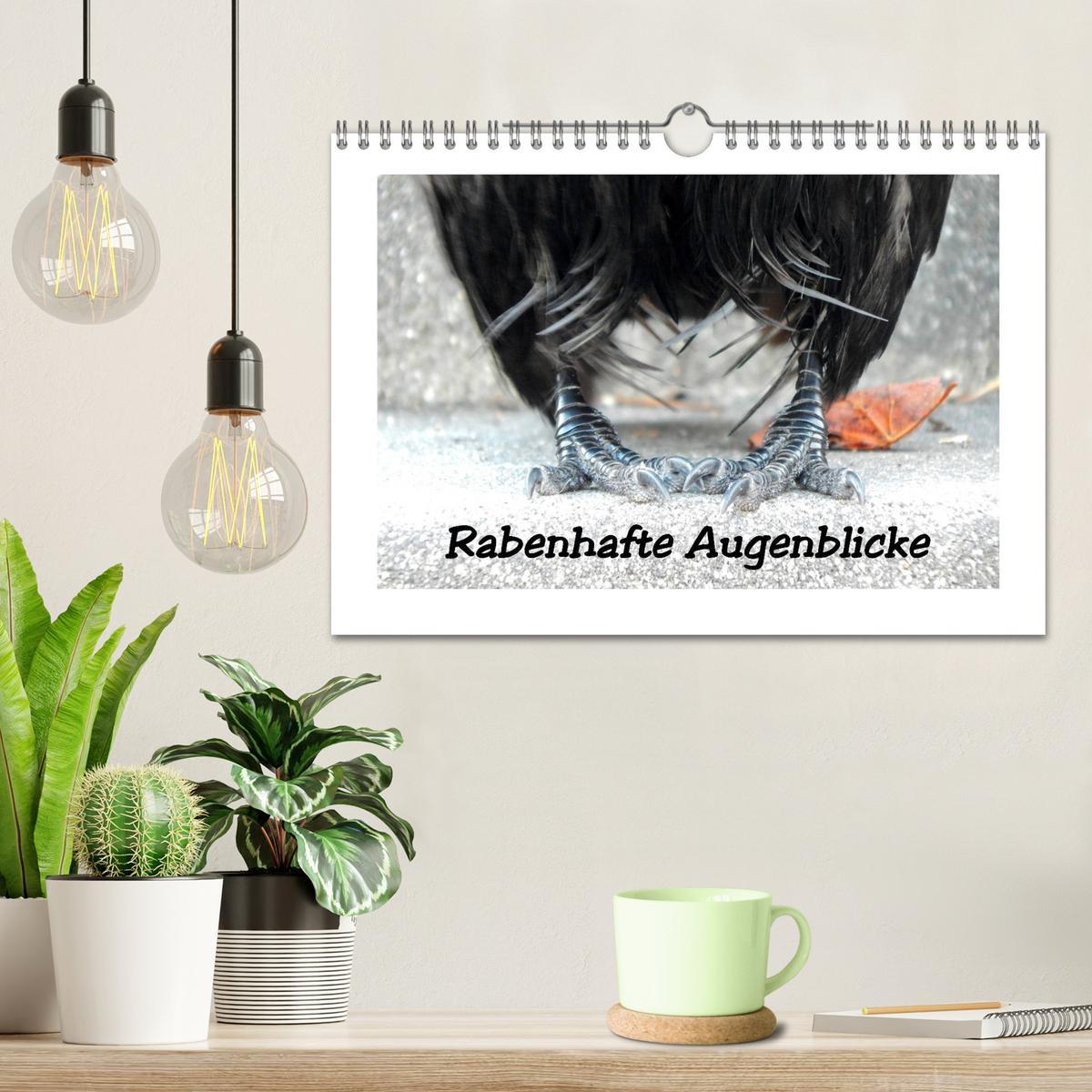 Bild: 9783435271344 | Rabenhafte Augenblicke (Wandkalender 2025 DIN A4 quer), CALVENDO...