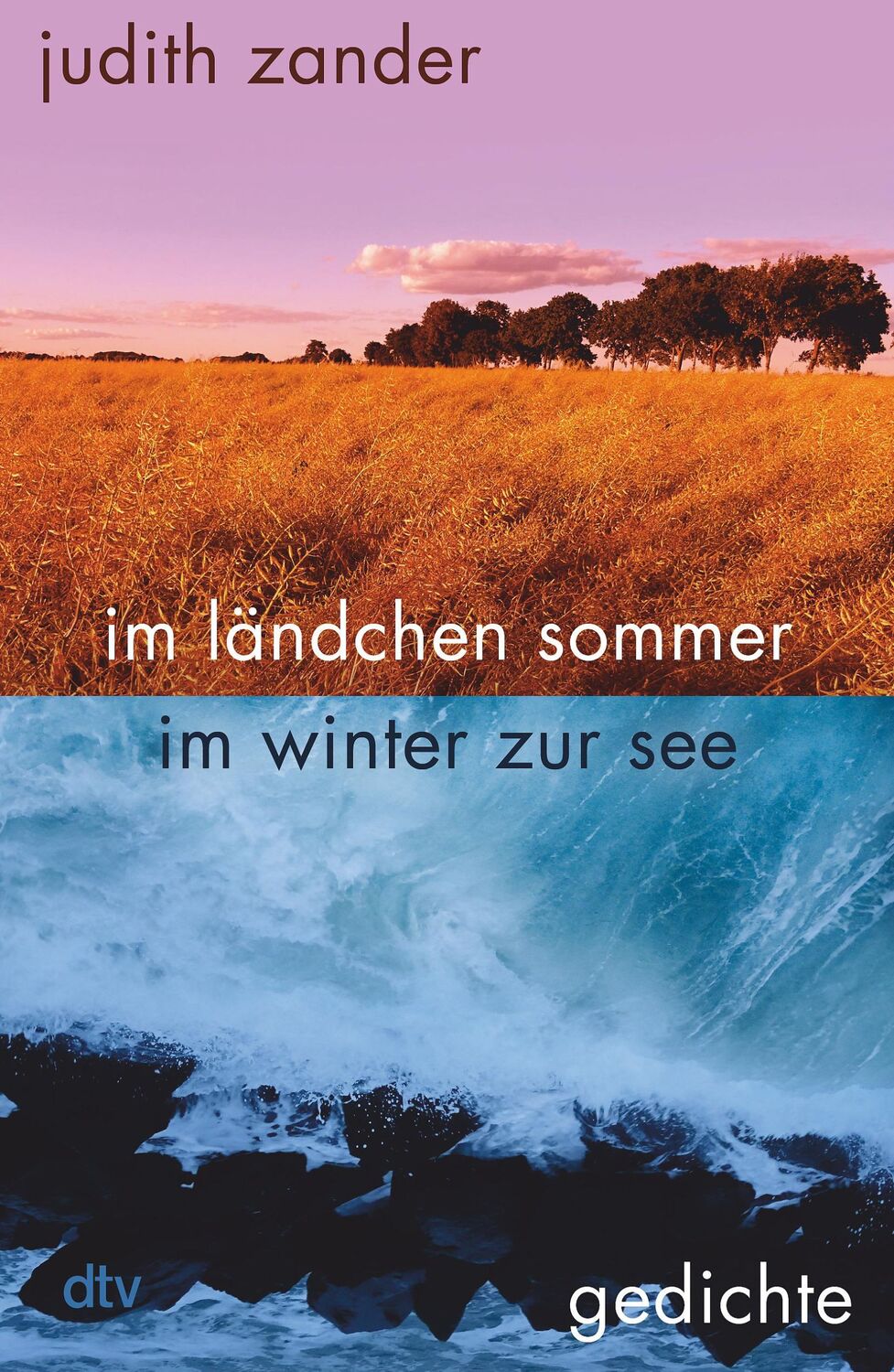 Cover: 9783423290104 | im ländchen sommer im winter zur see | Judith Zander | Buch | 96 S.