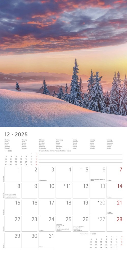 Bild: 4251732340902 | Alpha Edition - Sunny Moments 2025 Broschürenkalender, 30x30cm,...