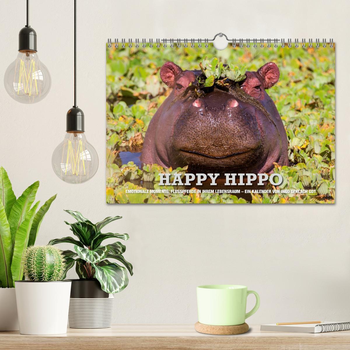 Bild: 9783435736560 | Emotionale Momente. Happy Hippo / CH-Version (Wandkalender 2025 DIN...