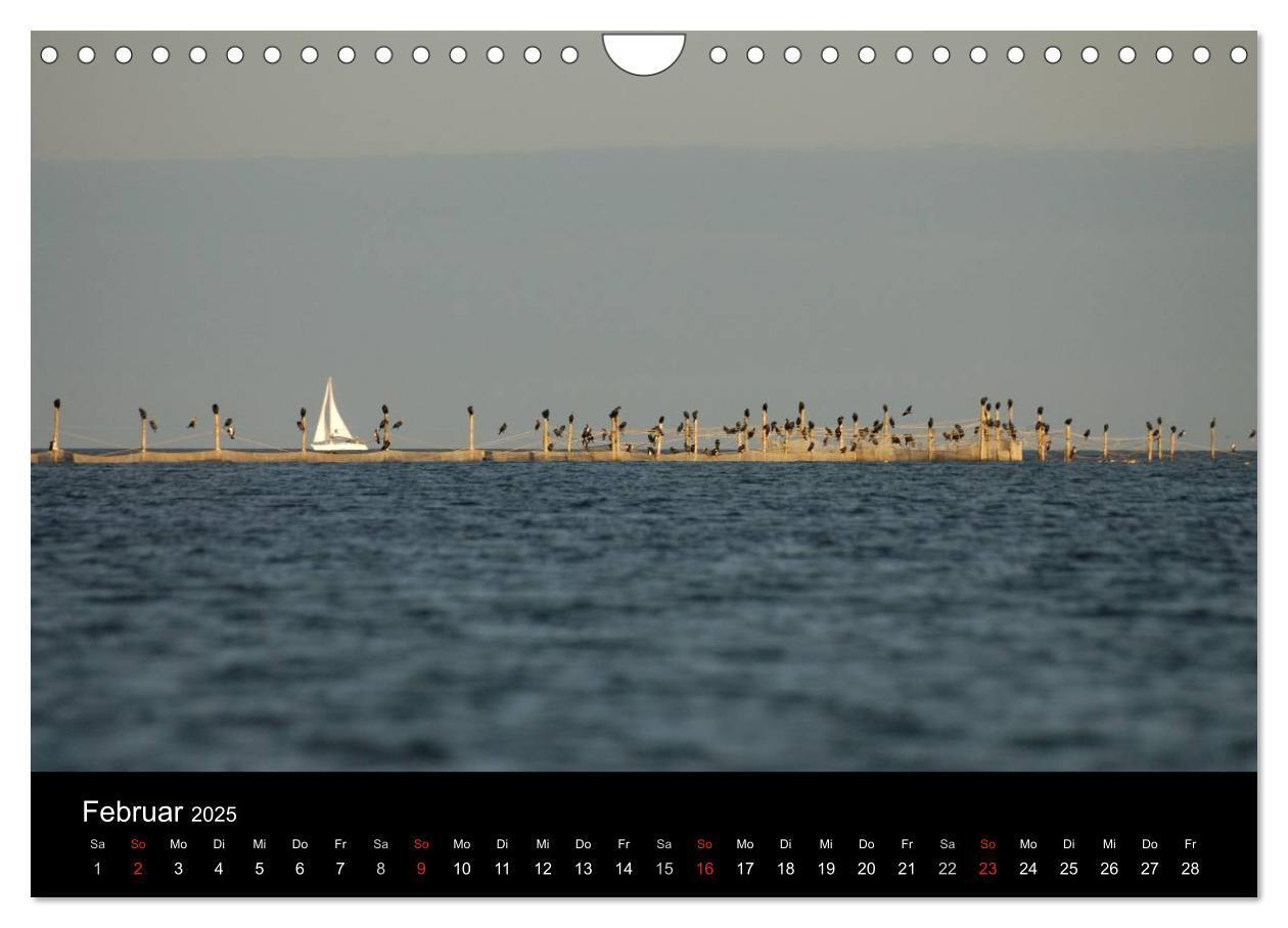 Bild: 9783435641734 | Wasserwandern in Mecklenburg-Vorpommern (Wandkalender 2025 DIN A4...