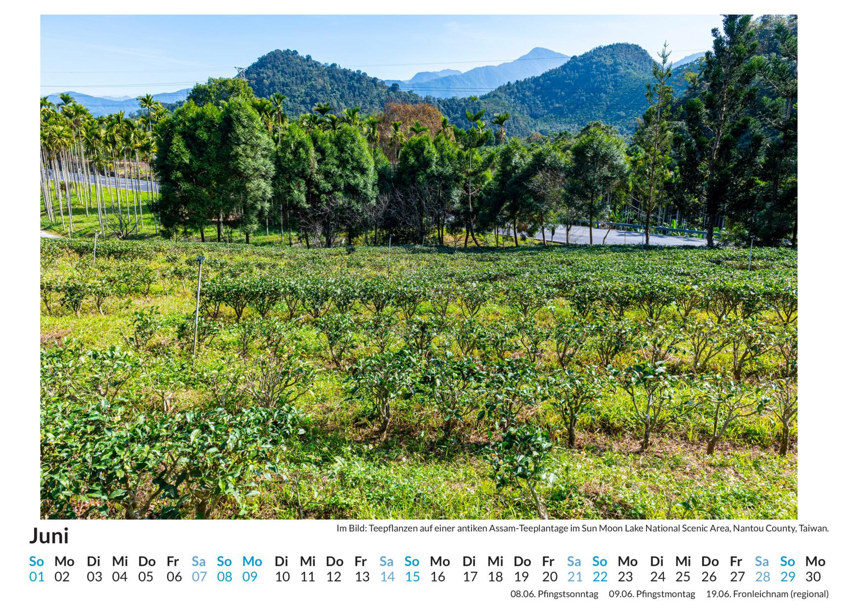 Bild: 9783759123626 | Assam - (Wandkalender 2025, Kalender DIN A4 quer, Monatskalender im...