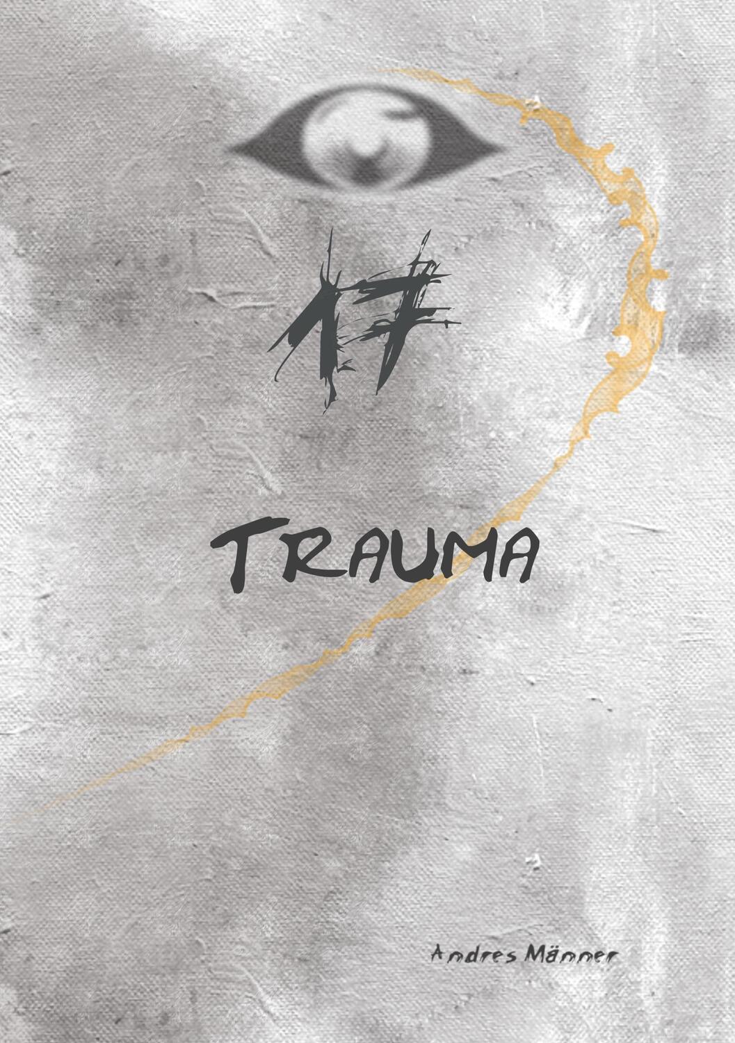 Cover: 9783740710651 | 17 | Trauma | Andres Männer | Taschenbuch | TWENTYSIX